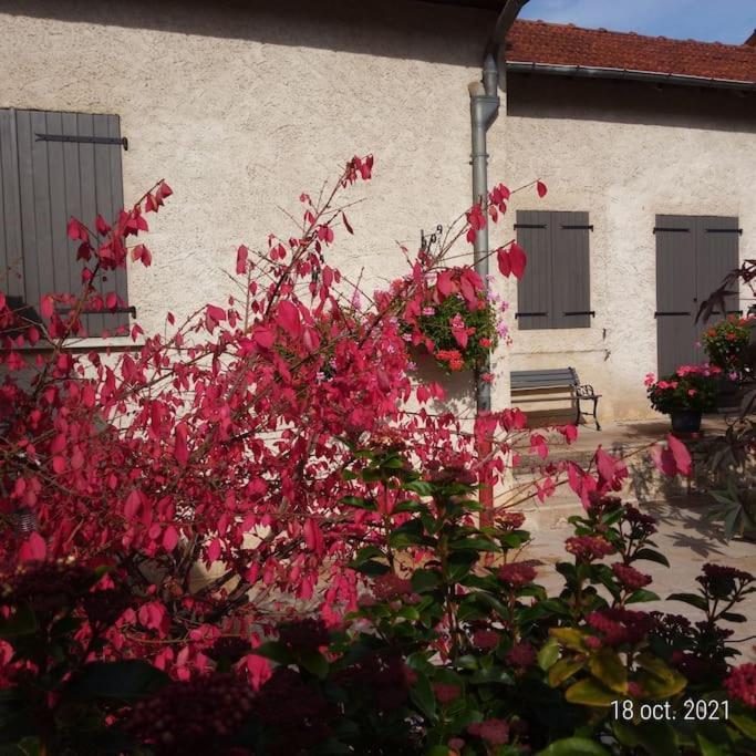 Maison Aux Portes Du Centre Historique De Dijon Avec 3 Chambres Et Garage Luaran gambar